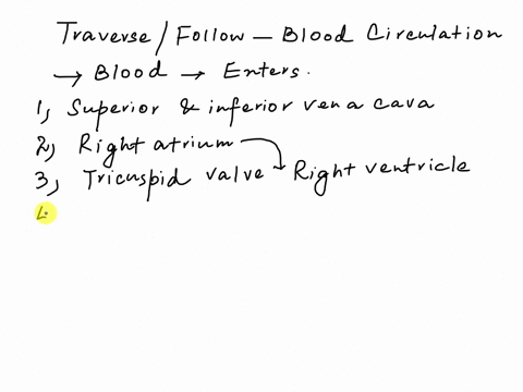 put-the-steps-of-the-circulatory-system-in-order-numbering-from-1-15beginning-and-ending-with-the-blood-returning-to-the-heart-through-the-superior-and-inferior-vena-cava-start-return-to-hea-14809