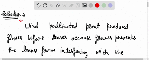 why-would-wind-pollinated-plants-produce-flowers-before-leaves-75331