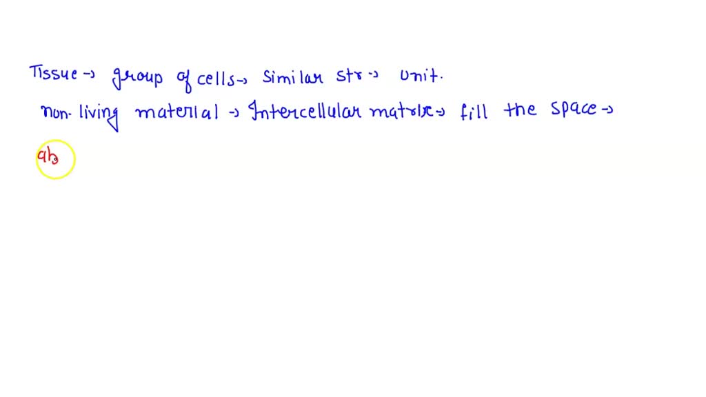 SOLVED Labeling types of tissues Label each type of tissue with the