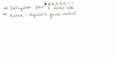 which-statement-best-distinguishes-plant-cells-and-animal-cells-there-are-more-ribosomes-in-animal-cells-than-in-plant-cells-plant-cells-have-more-lysosomes-than-animal-cells-have-plant-cell-00604