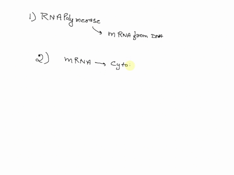 place-the-events-of-protein-synthesis-into-the-correct-order-on-the-right-first-polypeptides-are-folded-t0-form-proteins-mrna-leaves-the-nucleus-transcription-translation-nucleus-cytoplasm-r-21186