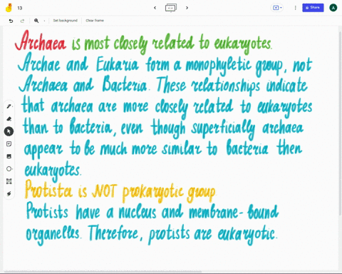 which-prokaryotic-group-is-most-closely-related-to-eukaryotes-a-bacteria-bprotista-carchaea-dbacteria-and-archaea-are-equally-closely-related-44415