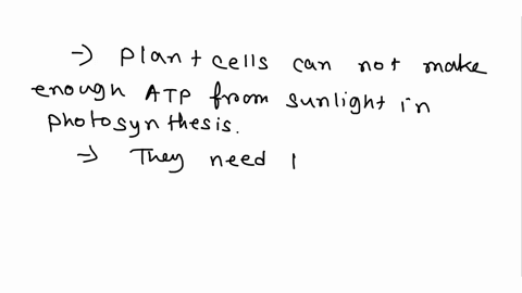 if-photosynthesis-produces-cellular-energy-atp-from-sunlight-why-do-plant-cells-also-need-to-perform-cellular-respiration-a-process-that-produces-atp-from-sugar-07797