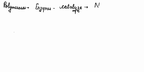 what-is-the-role-of-the-metal-ions-in-the-polymerase-active-site-89243