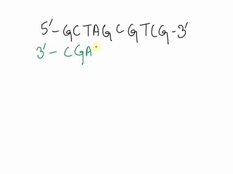 question-4-1-pts-if-the-sequence-of-one-strand-of-dna-is-5-gctagcgtcg-3-what-is-the-sequence-of-the-complementary-strand-3-gctagcgtcg-5-5-gctgcgatcg-3-3-cgatcgcagc-5-5cgatcgcagc-3-5-cgaucgca-76938