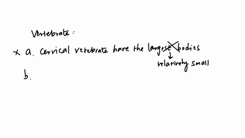 which-of-the-following-statements-is-true-regarding-the-vertebrae-a-the-cervical-vertebrae-have-the-largest-bodies-because-they-are-exclusively-designed-to-support-the-head-bribs-articulate-76674