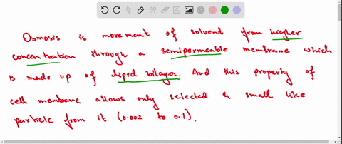 osmosis-will-water-continue-to-flow-across-the-semipermeable-lipid-bilayer-after-osmotic-equilibrium-is-reached-why-or-why-not-42056