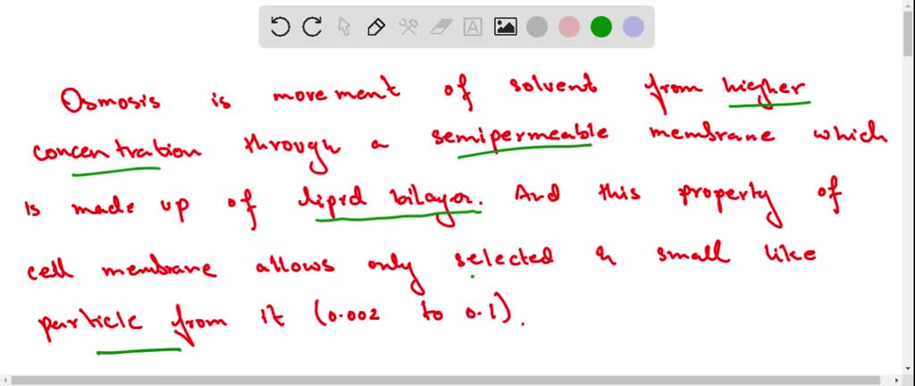 Solved Osmosis Will Water Continue To Flow Across The Semipermeable