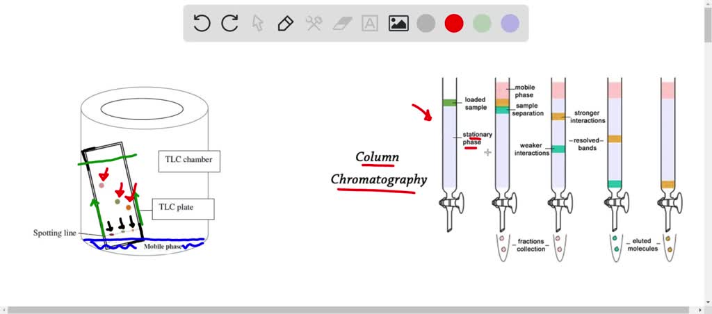 SOLVED: Determine whether each description applies to column or thin ...