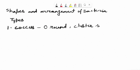 what-are-the-most-common-shapes-and-arrangements-of-bacteria-and-provide-a-specific-example-for-each-83255