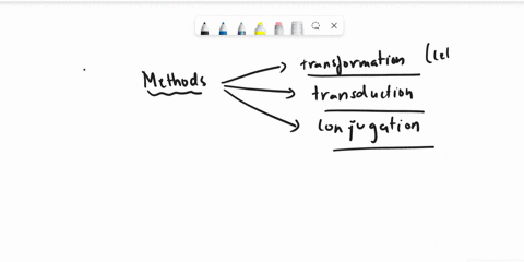 briefly-explain-three-methodsprocesses-by-which-by-prokaryotic-cells-can-increase-their-genetic-diversity-14812