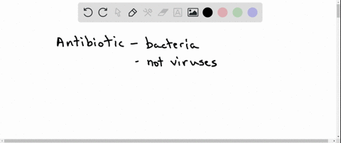 if-an-antibiotic-kills-bacterium-then-its-action-is-termed-a-bactericidal-b-selectively-toxic-c-bacteriostatic-d-toxic