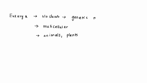question-9-25-pts-which-of-the-following-statements-accurately-describes-the-relationships-of-organisms-within-the-domain-eukarya-plants-and-fungi-share-more-recent-common-ancestor-with-each-50428