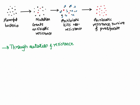 scientists-are-concerned-that-bacteria-will-be-resistant-to-all-antibiotics-within-the-next-decade-using-your-knowledge-of-genetics-describe-how-bacterial-populations-can-develop-drug-resist-97259