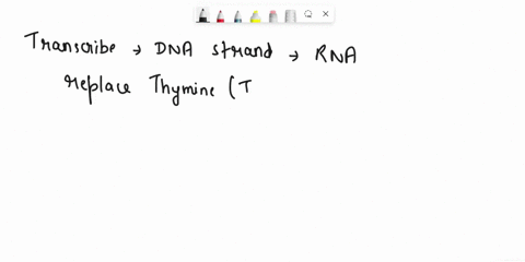 the-following-template-dna-sequence-is-part-of-the-human-lactase-gene-tac-ctc-gac-aga-acc-gta-cat-cag-aaa-a-transcribe-the-dna-strand-into-rna-b-translate-the-rna-strand-into-amino-acids-06258