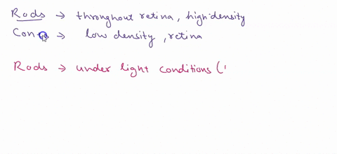 1-identify-the-function-of-the-iris-lens-ciliary-muscle-ciliary-processes-and-retina-in-proper-vision-a-identify-the-locationsdistribution-of-rod-and-cone-photoreceptors-in-the-retina-b-iden-93701