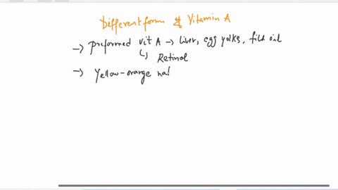 foods-can-contain-different-forms-of-vitamin-a_-complete-each-sentence-with-the-correct-vitamin-a-term-carotenoids-the-substance-called-which-is-iso-known-as-is-only-found-in-animal-foods-es-04043