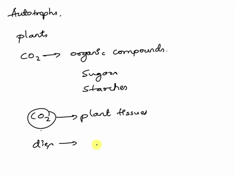 explain-how-autotrophs-like-plants-affect-atmospheric-co2-levels-and-describe-how-this-relates-to-fossil-fuels-and-increased-co2-levels-in-the-atmosphere-due-to-the-burning-of-fossil-fuels-00393