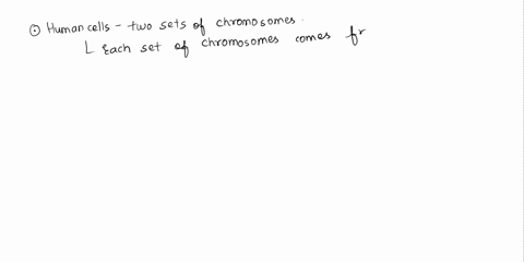 if-a-giraffe-has-62-chromosomes-what-is-the-haploid-number-16707