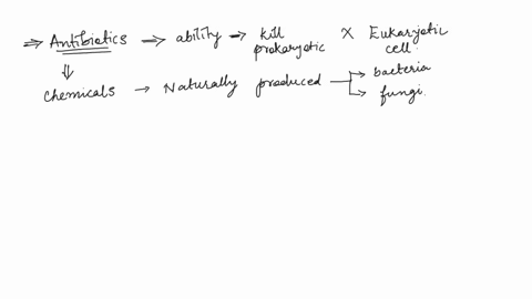 323-question-20-bacteria-prokaryotes-but-not-affect-explain-why-an-antibiotic-you-might-take-can-target-and-inhibit-translation-translation-your-dwn-eukaryotic-cells-paragraph-arlal-12pt-mat-70935