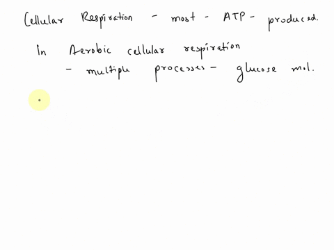 where-is-most-of-the-atp-made-during-cellular-respiration-51814