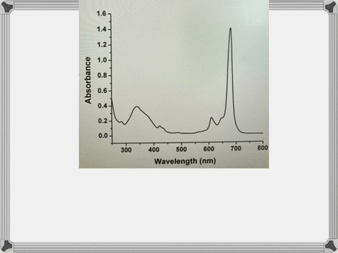 if-you-wished-to-study-the-molecule-below-by-measuring-absorbance-what-wavelength-should-you-set-your-spectrophotometer-to-16-14-12-10-absorbance-08-06-04-02-00-300-400-500-600-700-800-wavel-23574