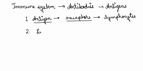 arrange-in-the-correct-sequence-these-components-of-the-mammalian-immune-system-as-it-first-responds-to-a-pathogen-i-pathogen-is-destroyed-ii-lymphocytes-secrete-antibodies-iii-antigens-from-54655