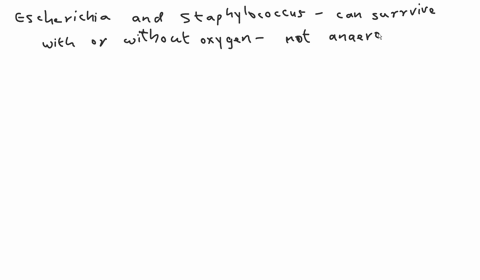 question-19-25-points-anaerobic-gram-positive-endospore-forming-rods-clostridium-escherichia-staphylococcus-bacillus