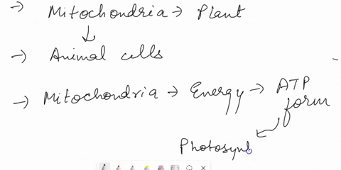plant-cells-have-mitochondria-for-cell-respiration_-01-true-2-false-68271