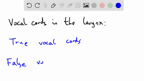 which-of-the-following-vocal-cords-is-involved-in-the-process-of-speech-33992