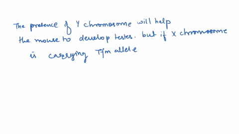 in-mice-the-x-linked-dominant-mutation-testicular-feminization-tfm-eliminates-the-normal-response-to-46755
