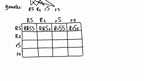 a-what-are-the-genotypes-of-the-mathrmf-generation-that-is-produced-by-the-cross-mathrmrrss-times-mathrmrrss-c-in-what-ratio-will-they-occur