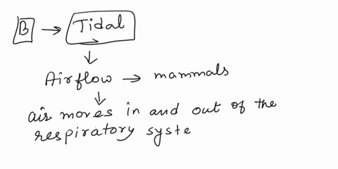 please-select-the-best-answer-to-the-following-guestions-1airflow-in-mammals-is-aunidirectional-btidal-c-bothunidirectional-and-bidirectional-d-none-of-the-above-2-during-quiet-inspiration-i-42864