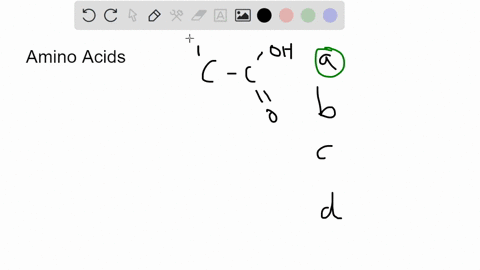 amino-acids-are-the-biomonomer-single-unit-which-construct-what-polymerchain-like-molecule-proteins-carbohydrates-lipids-rna-56117