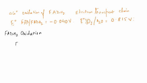calculate-the-gfor-the-oxidation-of-fadh2-in-the-mitochondrial-oxidative-electron-transport-chain-etc-by-oxygen-eq-for-the-fadifadhz-0040-volt-eq-for-the-ozhzo-0815-volt-a-825-kjmol-1-b-165-78897