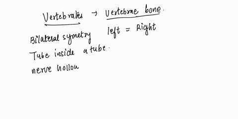 all-vertebrates-including-humans-share-all-of-the-following-anatomical-traits-except-body-plan-that-is-composed-of-an-inner-tube-surrounded-by-an-outer-tube-the-left-half-of-the-body-is-esse-37267