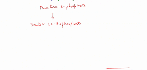 place-the-intermediates-from-glucose-catabolism-in-the-correct-order-starting-with-a-1-for-the-most-reduced-ending-with-a-12-for-the-most-oxidized-molecule-co2-pyruvate-acetyl-coa-glyceralde-84848