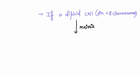 nondisjunction-results-in-an-uneven-distribution-of-chromosomes-during-cell-replication-if-nondisjunction-occurs-during-meiosis-i-the-homologous-chromosomes-do-not-separate-if-nondisjunction-74278