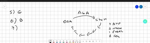 during-aerobic-cellular-respiration-which-of-the-following-are-functions-of-the-krebs-cycle-regenerate-oxaloacetate-1-pt-make-atp-gef-rid-of-cambon-in-the-for-of-carbori-dioxide-create-elect-04247