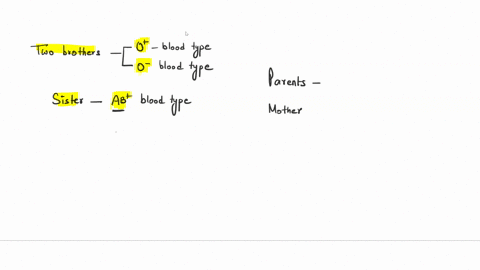 two-brothers-have-type-oand-type-0-blood-respectively-their-sister-has-ab-blood-assuming-they-havethe-same-parents-what-arethe-possible-genotypes-their-parents-83763