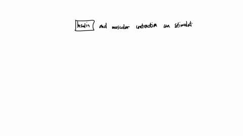 name-the-hormone-that-increases-beta-oxidation-of-fats