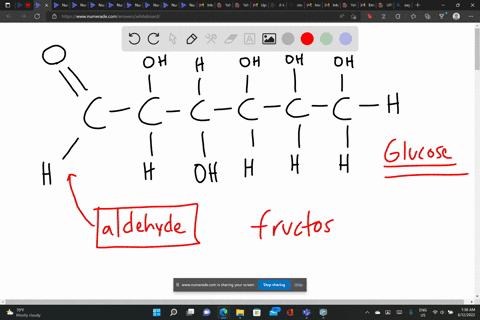 please-give-me-a-correct-option-2_-in-carbohydrates-special-functional-groups-are-present-in-the-given-following-alcohol-carboxyl-groups-b-aldehyde-ketone-groups-c-hydroxyl-groups-hydrogen-g-96691