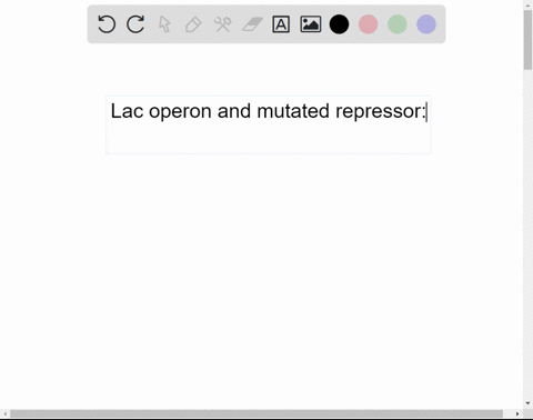 if-the-gene-encoding-the-lac-repressor-is-mutated-such-that-the-repressor-can-no-longer-bind-the-operator-will-transcription-of-that-operon-occur-seleccione-una-a-yes-because-rna-polymerase-will-be-ab