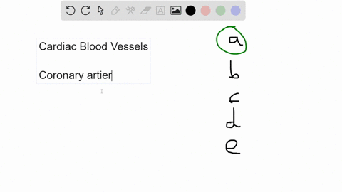 which-of-the-following-does-not-supply-blood-to-the-heart-acoronary-sinus-bcircumflex-branch-of-the-left-coronary-artery-canterior-branch-of-the-left-coronary-artery-dright-coronary-artery-e-71375