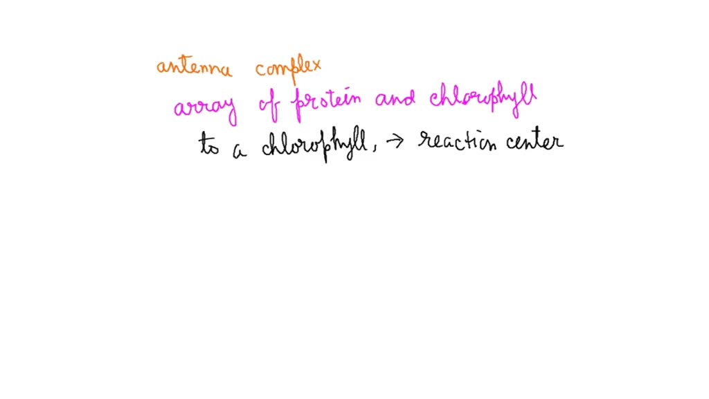 SOLVED What is true of the antenna complex of a photosystem? 1. It