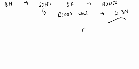 aabbccddee-aabbccdde-nonmal-spacino-14-the-bone-itmtu-considered-common-component-of-thc-systems-skeletal-circulatory-circulatory-endocrine-circulatory-digestive-urinary-skeletal-and-the-ins-10536