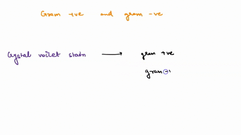 prokaryotes-stain-as-gram-positive-or-gramnegative-because-of-differences-in-the-cell-__________-a-w-05203