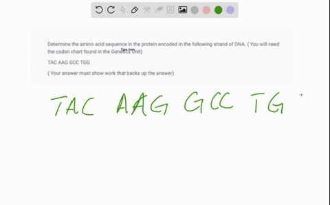 determine-the-amino-acid-sequence-in-the-protein-encoded-in-the-following-strand-of-dna-you-will-need-the-codon-chart-found-in-the-genetics-unit-tac-aag-gcc-tgg-your-answer-must-show-work-that-backs-u
