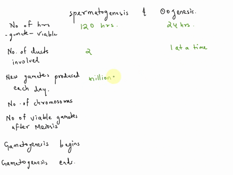 fill-in-comparing-spermatogenesis-with-oogenesis__-in-males-in-females-approximate-number-of-hours-that-gamete-cmains-viable-afier-release-number-of-ducts-that-guide-gametes-through-developm-92478