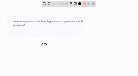 how-can-organisms-that-dont-degrade-starch-grow-on-a-starch-agar-plate-18175